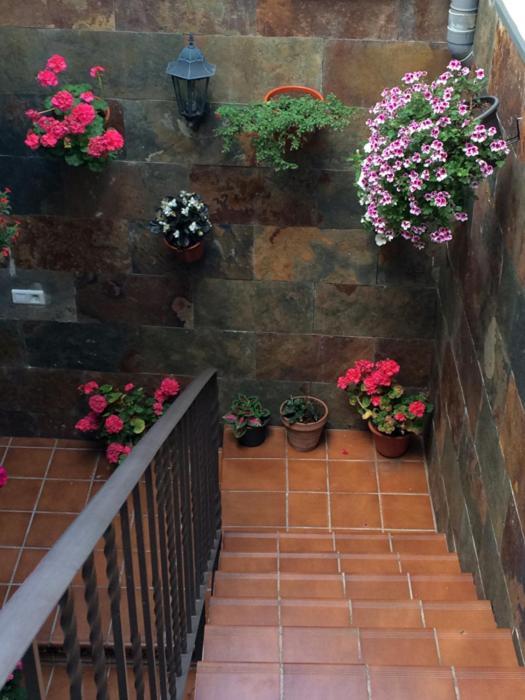 Apartamentos La Flor San Martín de Moncayo Exterior foto